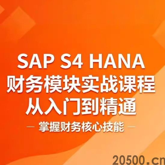 SAP S4 HANA 财务模块实战课程 从入门到精通 掌握财务核心技能